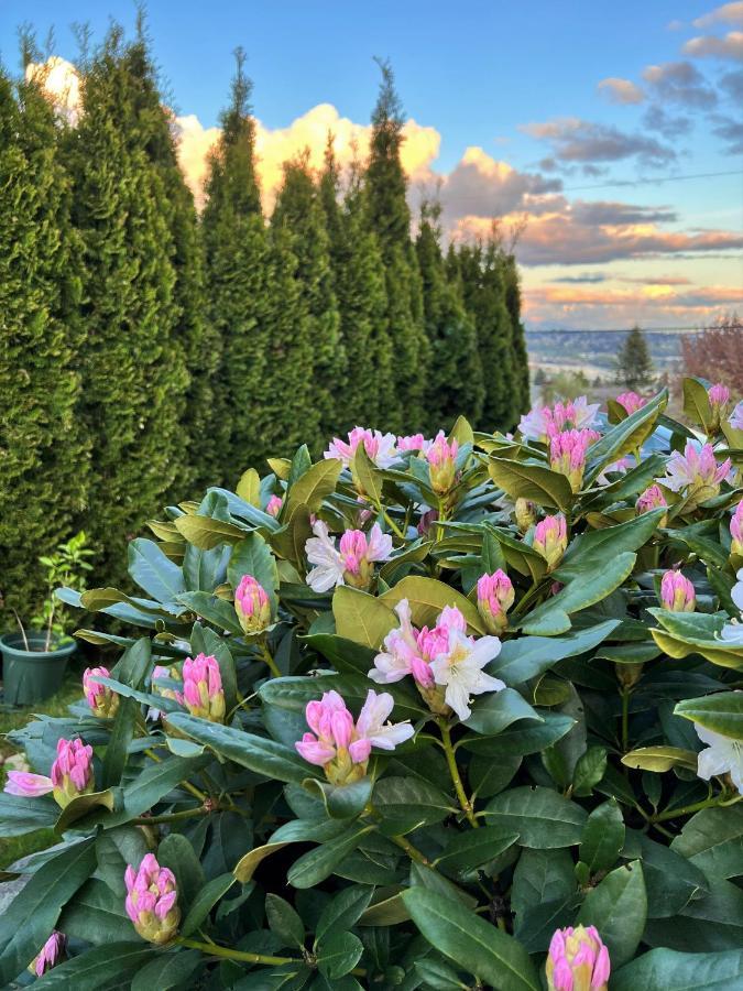 Lovely J Home -Stunning River View Cozy Two Bedroom Private Suite New Westminster Extérieur photo